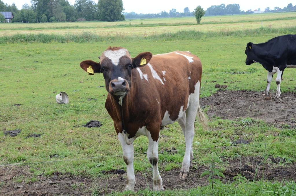 Farm Stay Hof Auf Der Wurp Harrierwurp Eksteriør billede